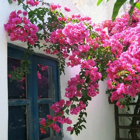 Villa La Porta Rossa *