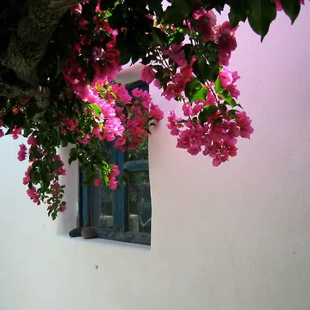Villa La Porta Rossa Stromboli